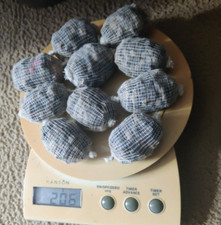 60 XL prefilled & tied carp