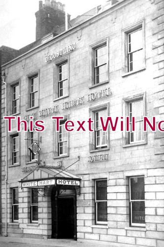 705 white hart hotel - -,