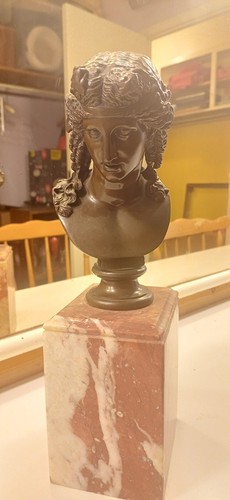 Late c19th bronze bust - bronze,