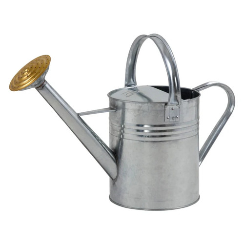 Ambassador galvanised watering - ambassador,