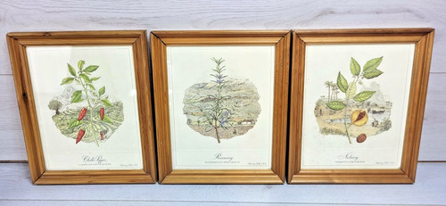 Vintage botanical prints - 3,
