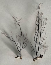 GENUINE NATURAL GORGONIAN SEA FAN FROM DORSETS JURRASIC COAST, (29/11B)2