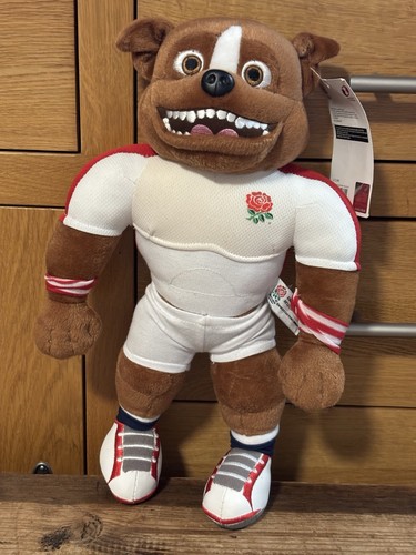 England national rugby union - england,
