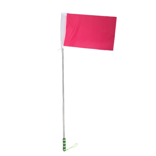 Children guide flag horse - ,
