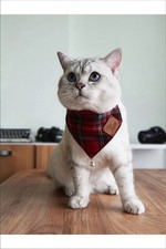 Christmas Cat Bandana –