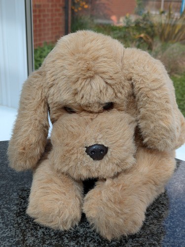 Debenhams dog soft toy - debenhams, vintage