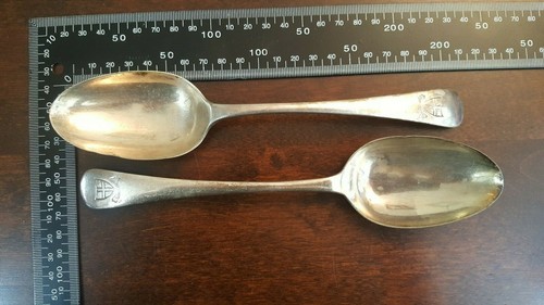 Serving spoons latin - serving, moto