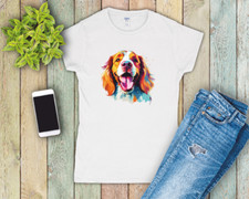 Welsh Springer Spaniel Ladies