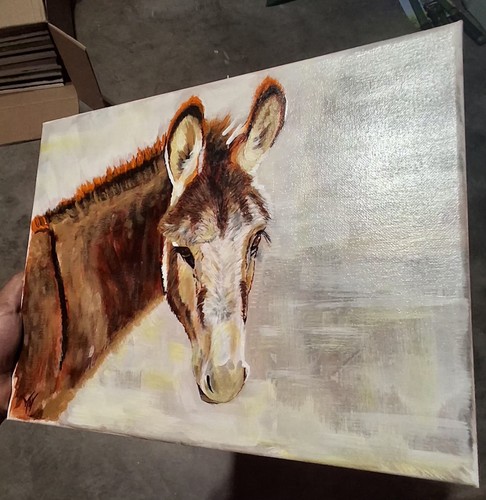 Original wild donkey - wild,