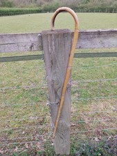 Antique Bamboo Walking Stick