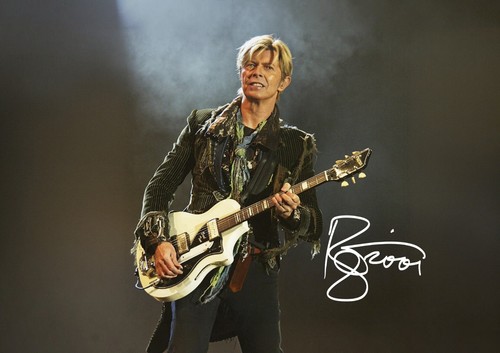 Photo signed by david - a3.,