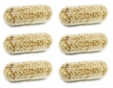 MOINA MACROCOPA EGGS WATER