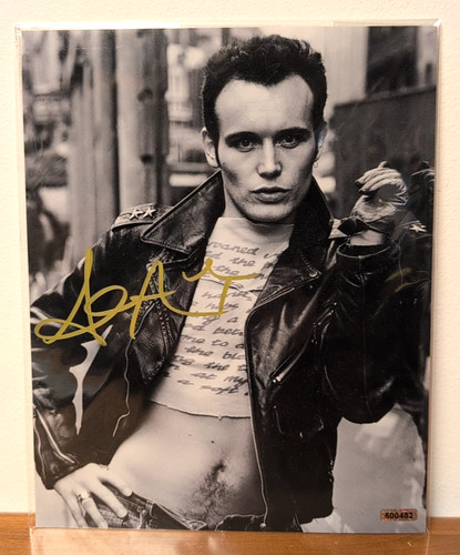 Adam ant original 10x8 photo - adam,