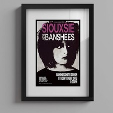 Siouxsie and the Banshees 1978