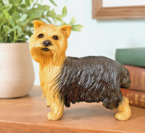 Yorkshire terrier yorkie - terrier,