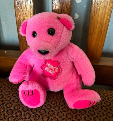 Plush teddy bear soft - plush,