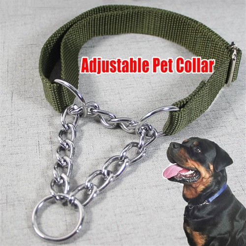 Strong training dog collar - training,