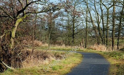 Photo 6x4 the - photo, towpath