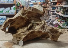 Derwen Oak Bogwood 28-65cm