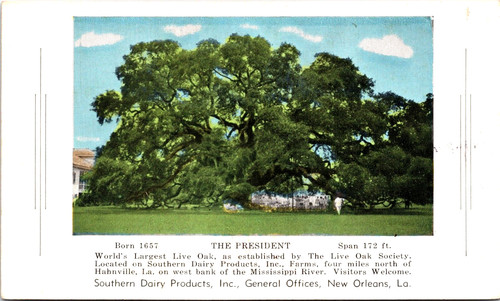 Postcard hahnville louisiana - postcard,