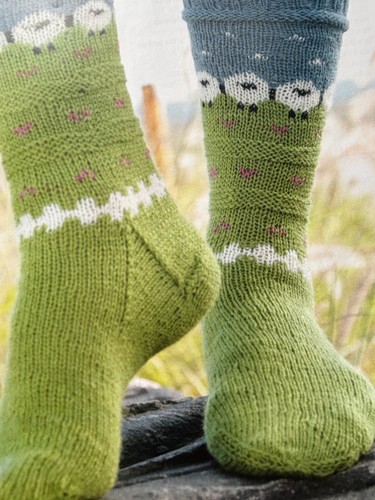Country living sheep - living, socks
