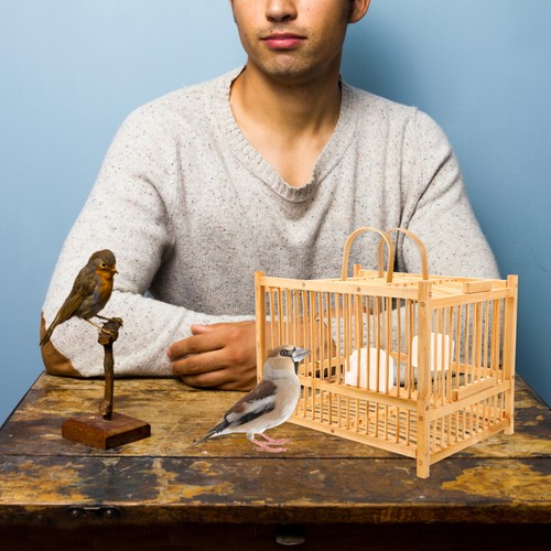 Indoor bird cage - indoor, small