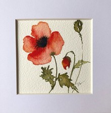 Watercolour Red Poppies By