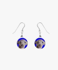 Greyhound Puppy Dog codez5