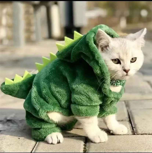 Halloween dinosaur costume - halloween,