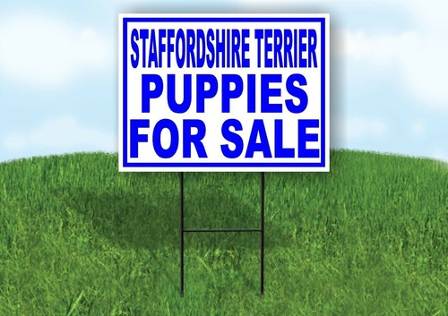 Staffordshire terrier puppies - terrier,