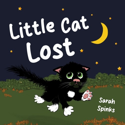 Little cat lost sarah - little,
