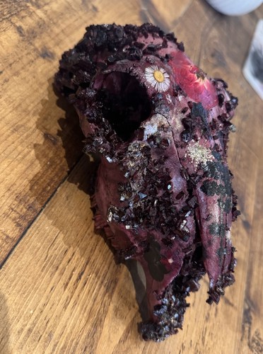 Crystal covered sheep skull - crystal-covered,