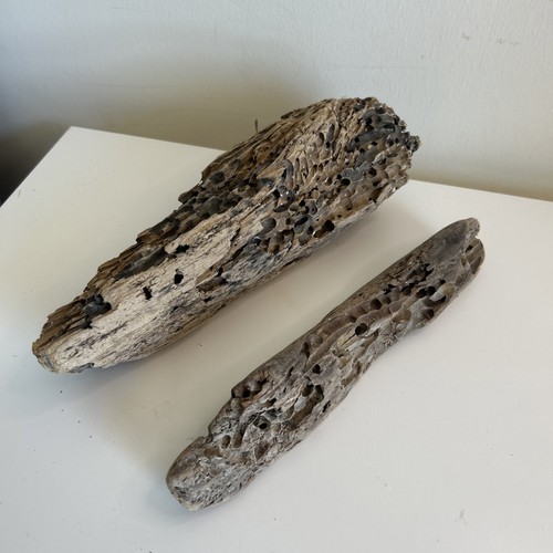 Driftwood pieces with - pieces,