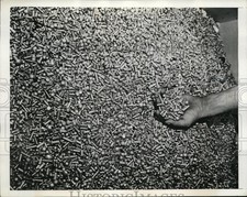 1943 Press Photo Pied Rivets