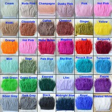 Quality ostrich feather fringe - ostrich,