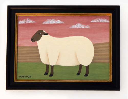 Naive sheep ewe - naive,