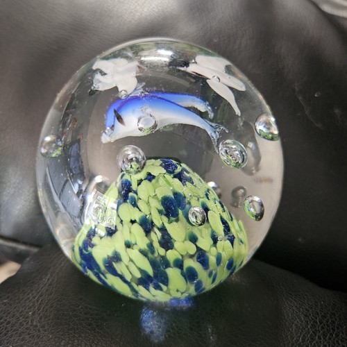 Dolphin fish aquarium - dolphin,