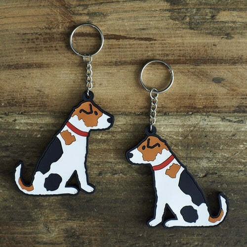 Sweet william jack russell - william,