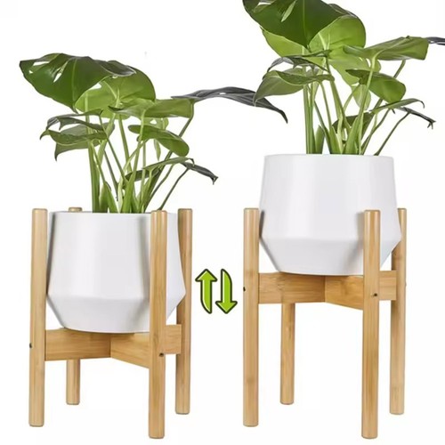 Plant stand flower - flower, garden