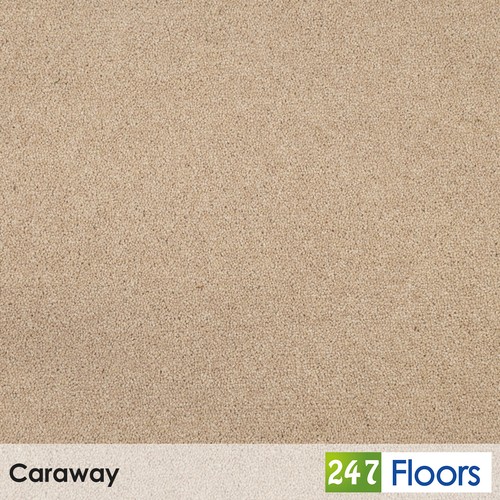 Caraway pembroke twist - pembroke, carpet