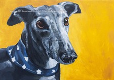 Greyhound Whippet Lurcher art print painting poster - Mounting Options Available