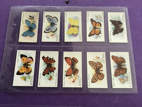 Butterflies full set - butterflies, 50