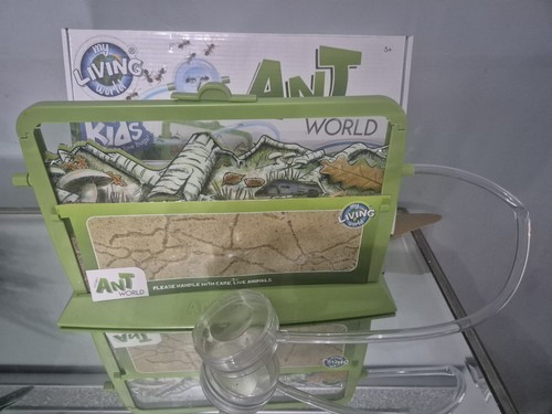 Living world ant - -,
