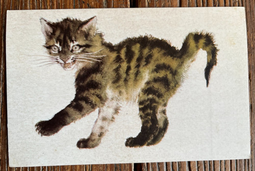 Soviet art cat - art, 1970