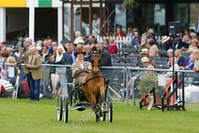 Photo 12x8 The South of