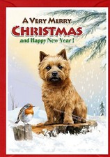 Norwich Terrier Dog A6 (4"x