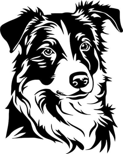 Large border collie dog - 23",