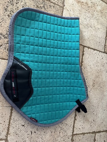 Large lemieux turquoise - large,