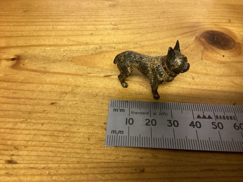 Bergmann french bulldog cold - bulldog,