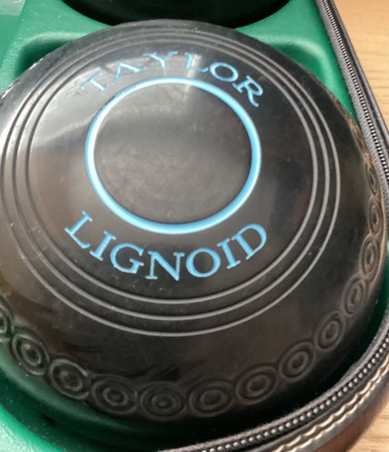 Size taylor lignoid - 2,